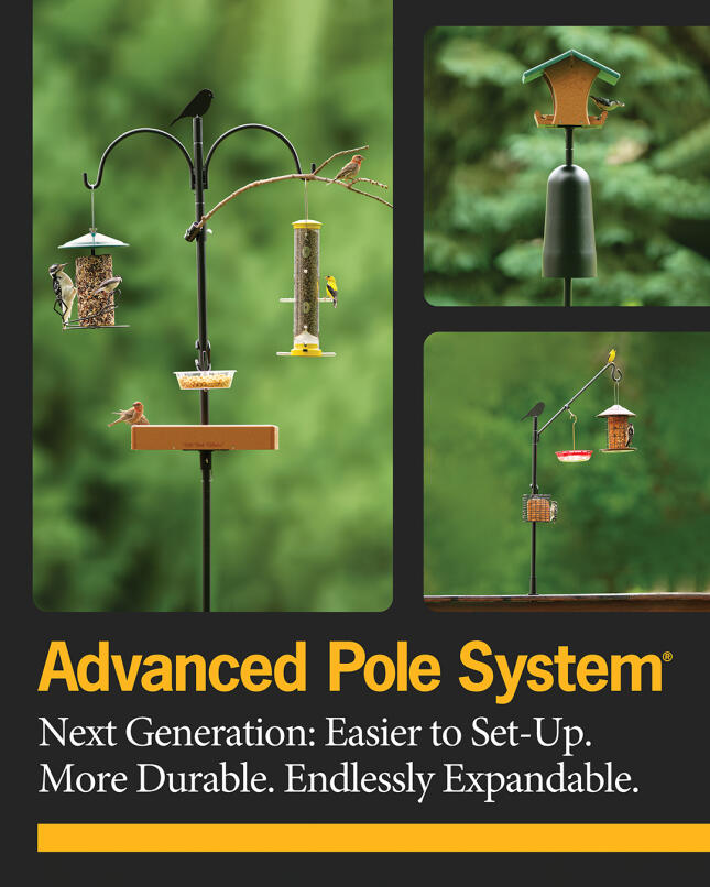 Next Generation APS Advanced Pole System