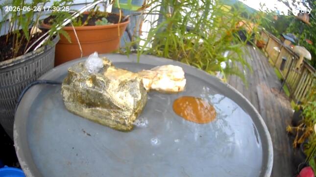 WBU Bird Bath with External Camera View